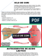 Ciclo de Cori