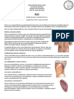 Bazo PDF