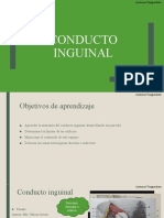 Conducto Inguinal