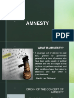 Amnesty Report