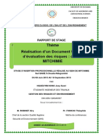 Rapport DeStage - NIVEAU - 3 PDF