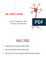 3. HỆ THẦN KINH