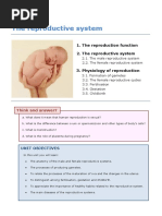 Unit 8 The Reproductive System Bilingual Education