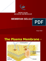 (M4) Membran Seluler PDF