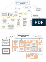 Mapa Conceptual Aparato Reproductor Masculino 7