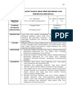 SPO Audit Near Miss PDF