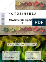 Fotosinteza II 2016 1