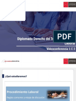 Videoconferencia 1 - C3 PDF