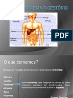 Anatomiasistemadigestorioaula3 PDF