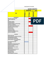 Matriz Conceptual