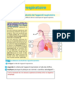 TD Appareil Respiratoire