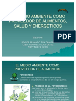 Medio Ambiente Como Proveedor Alimentos