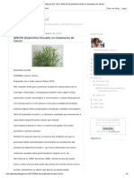 Blog Da Dra. Glaci AVELÓS (Euphorbia Tirucalli) No Tratamento Do Câncer