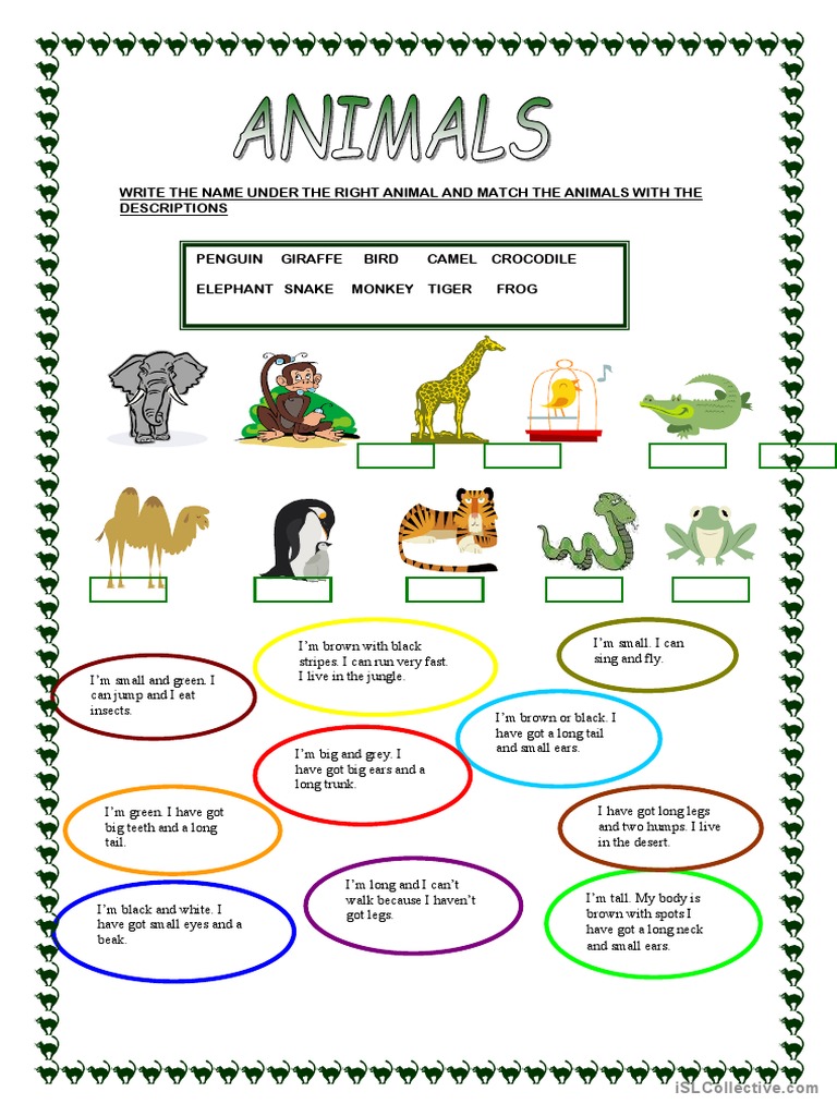 ANIMALS PDF