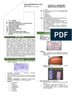 14 Anaerobic Gram Positive Bacilli PDF