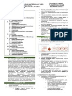 12 Small Plemorphic Gram Negative Bacilli PDF