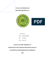 Tugas Resume Pert.2 - Inayatul Maftukhah - 202205040 - Farmasi 1B - Perbedaan Nekrosis & Apoptosis