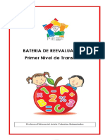 Reev. NT1 PDF