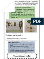 Formação e classificação de frutos