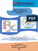 Modul Morfologi Fisiologi Tumbuhan 2023 PDF