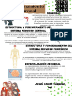 Funcionamiento Neuronal