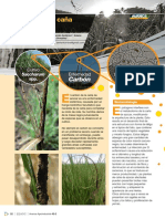 04-ficha-Carbon-Caña de Azucar PDF