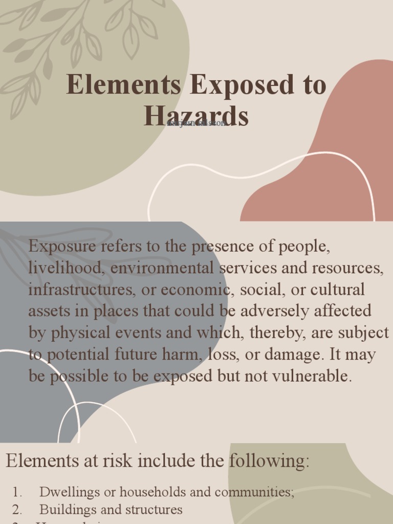 Elements Exposed To Hazards Pdf Hazards Vulnerability