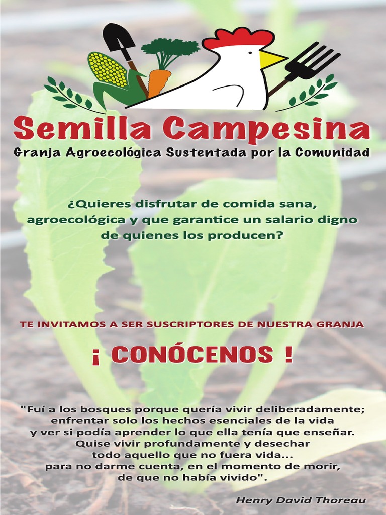 Semilla Campesina | PDF