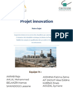 Rapport de Synthèse Bibliographique PDF