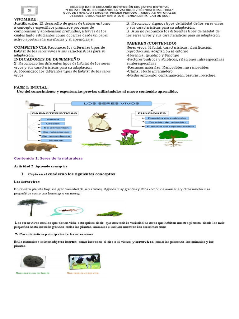 GUIA DE CIENCIAS NATURALES PRIMER PERIODO TERCERO Docentes | PDF |  Organismos | Reproducción, image size:768x1024