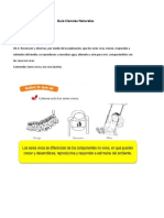 Guía Ciencias Naturales