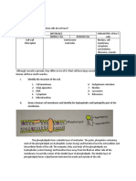 Laboratory: Session 6 Lesson Preview