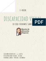 E-Book - Discapacidad Visual PDF