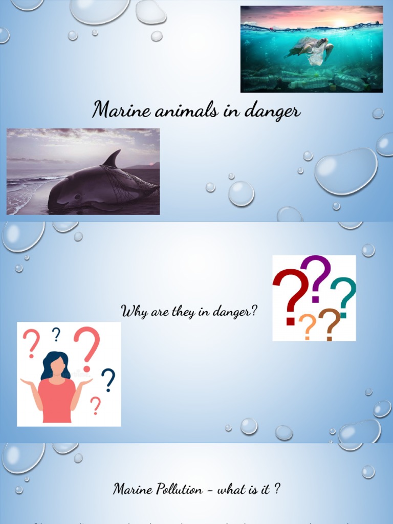 Marine Animals in Danger PDF PDF Habitat Destruction Overfishing