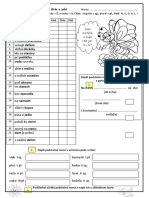 PODSTATNÉ MENÁ - Rod, Číslo A Pád (Písomka) - SJL4