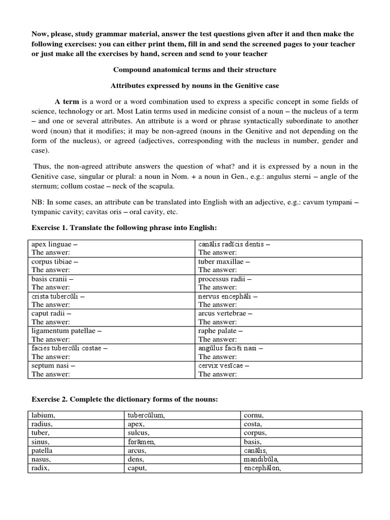 Russ SelfAssessment PDF PDF Noun Adjective