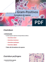 Gram+ esporulados Clostridium perfringens e botulinum