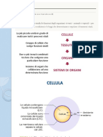 Lezione 1 PDF