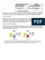 Ácidos nucleicos: estructura y función