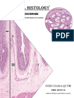 Histo Summary-1