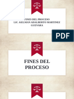 Fines del proceso penal