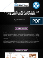 Tumor de Celulas de La Granulosa Juvenil