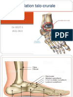 3 - Articulation Talo-Crurale