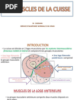 9 - Triangle de Scarpa | PDF | Jambe humaine | Anatomie