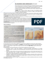 Actividad EL SISTEMA ENDOCRINO COMO COORDINADOR (Primera Parte) 3º Año 2022