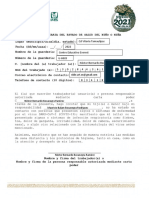 FORMATO RESPONSIVA DIARIA Mauricio Balam PDF