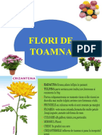 crizantema.pptx