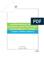 FC-SIG-282 Informe Mensual SSOMAC - FEBRERO
