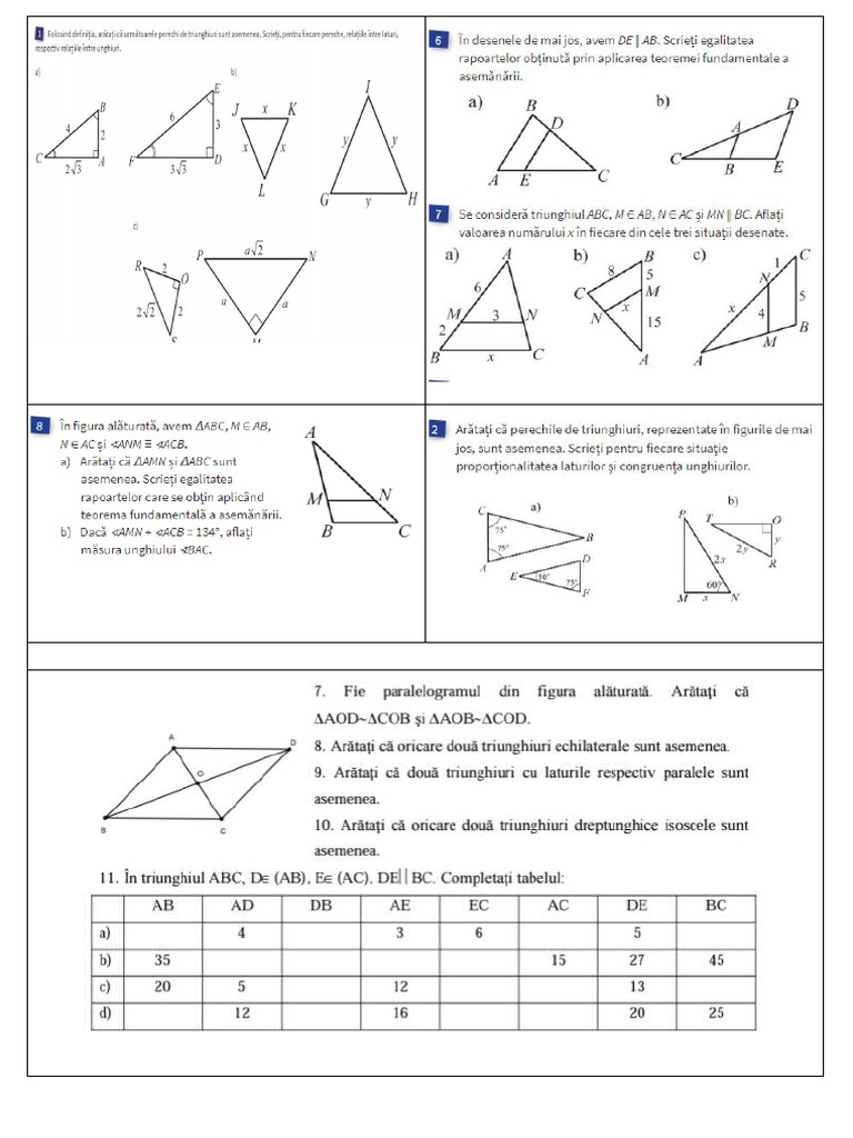 teorema fundamentala a asemanarii -7 | PDF