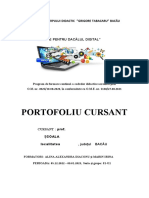 Model Portofoliu